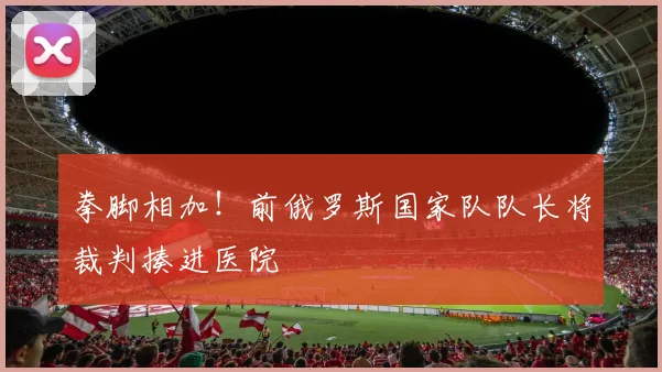拳脚相加！前俄罗斯国家队队长将裁判揍进医院